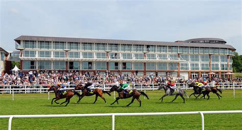 horse racing results lingfield|20:00 Lingfield Park .